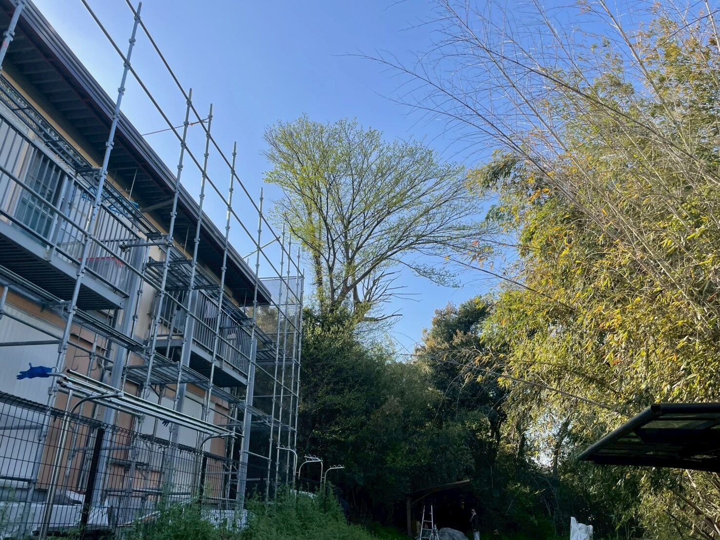 IMG_8464