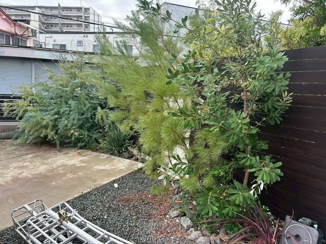 植栽が大きくなり、管理が大変になっていたスペースを