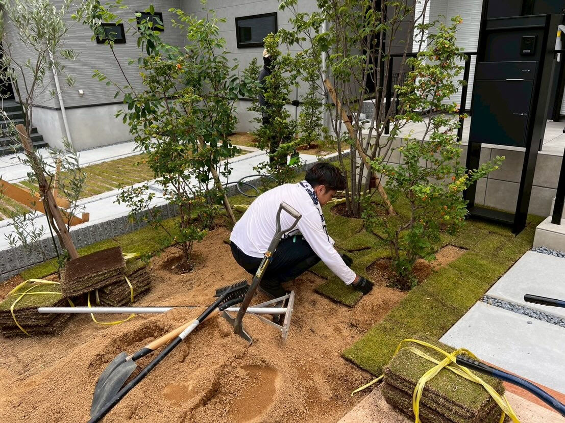 新築外構の植栽・芝張り作業🌿
