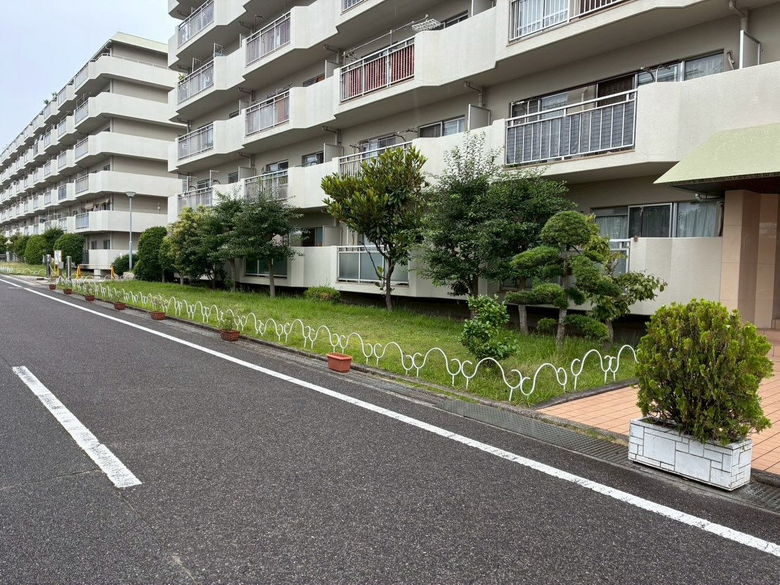 光明池のマンション管理にて、植栽メンテナンスを行いました