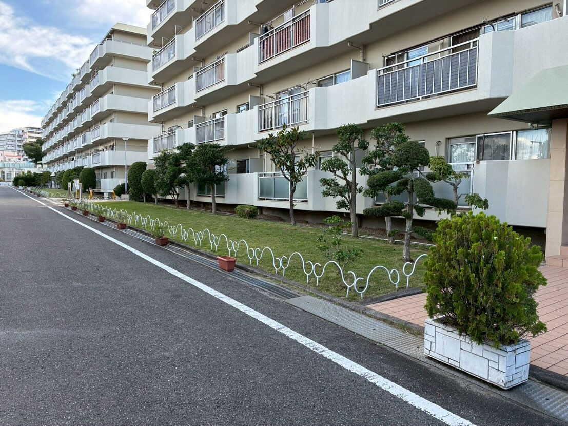 光明池のマンション管理にて、植栽メンテナンスを行いました