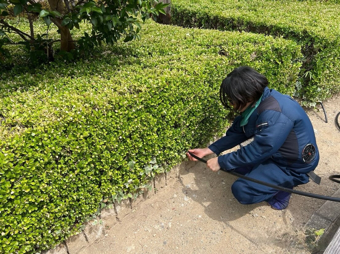 インターの下を通して配管し、植栽スペースまで延長🌿