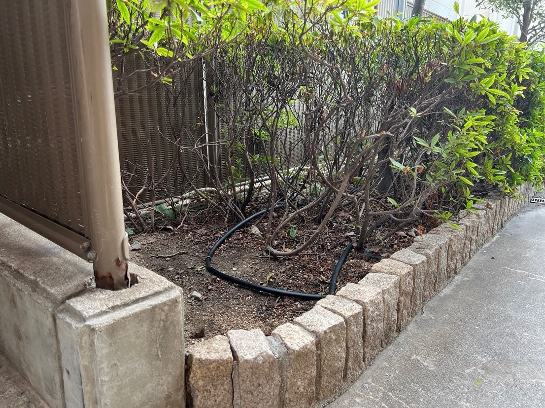 インターの下を通して配管し、植栽スペースまで延長🌿