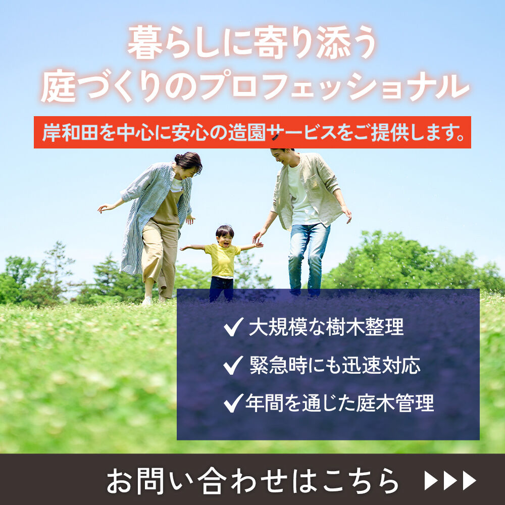 modal_banner